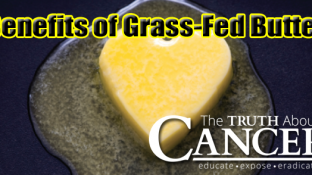 Why Grass-Fed Butter Is One of the Best Foods You Can Eat Why Grass-Fed Butter Is One of the Best Foods You Can Eat