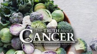 How Kale and Cruciferous Plants Help Prevent Colon Cancer How Kale and Cruciferous Plants Help Prevent Colon Cancer