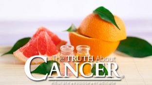 7 Ways Grapefruit Essential Oil Can Boost Your Health 7 Ways Grapefruit Essential Oil Can Boost Your Health