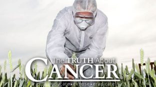 USDA — Not Pesticide Companies — Should Regulate GMOs, Lawsuit Says USDA — Not Pesticide Companies — Should Regulate GMOs, Lawsuit Says