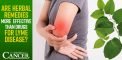 Are Herbal Remedies MORE Effective Than Drugs for Lyme...