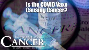 Idaho doctor reports “20 times increase” in cancer among those “vaccinated” for covid Idaho doctor reports “20 times increase” in cancer among those “vaccinated” for covid
