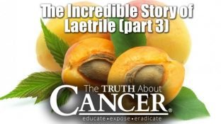 The Incredible Story of Laetrile Part III: A Cancer Cure Cover-Up? The Conclusion The Incredible Story of Laetrile Part III: A Cancer Cure Cover-Up? The Conclusion