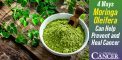 4 Ways Moringa Oleifera Can Help Prevent and Heal...