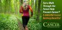 Can a Walk Through the Forest Help Prevent Cancer? 5...
