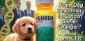 FENBEN: 🐶 From Dog Dewormer to Cancer Game-Changer?...