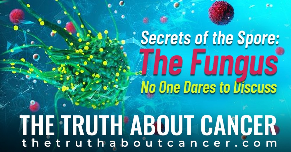 Secrets of the Spore: The Fungus No One Dares to Discuss