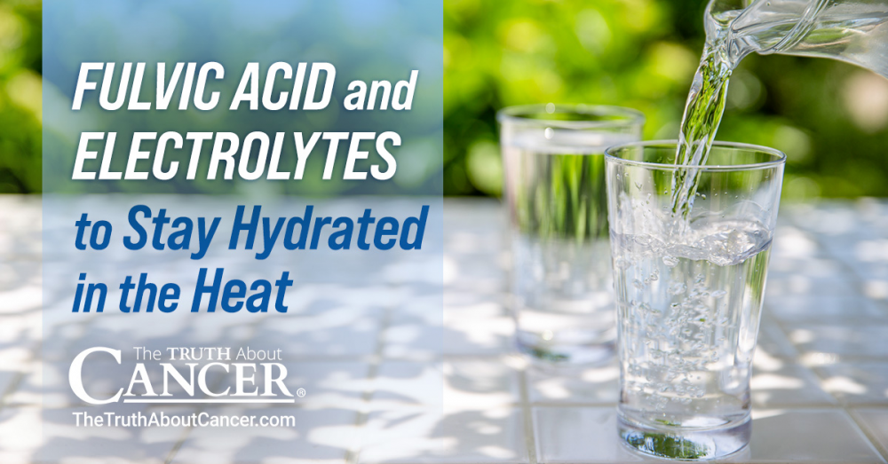 Fulvic Acid and Electrolytes to Stay Hydrated in the Heat Fulvic Acid and Electrolytes to Stay Hydrated in the Heat