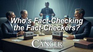 Who’s Fact-Checking the Fact-Checkers? Spoiler: The Foxes Guard the Henhouse Who’s Fact-Checking the Fact-Checkers? Spoiler: The Foxes Guard the Henhouse