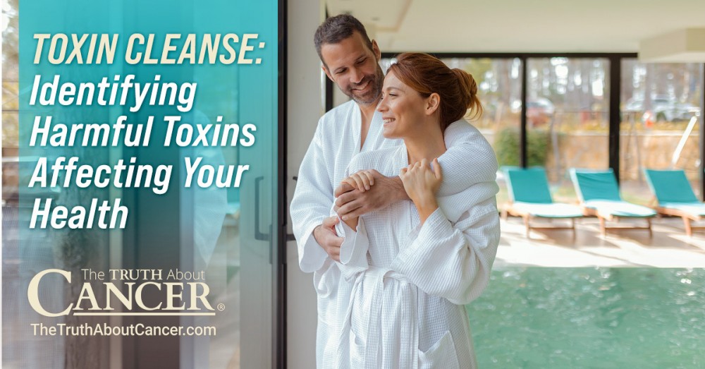 Toxin Cleanse: Identifying Harmful Toxins Affecting Your Health Toxin Cleanse: Identifying Harmful Toxins Affecting Your Health