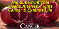 The Superfruit That Cleans Arteries, Fights Cancer...
