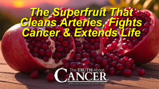 The Superfruit That Cleans Arteries, Fights Cancer & Extends Life The Superfruit That Cleans Arteries, Fights Cancer & Extends Life