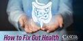 How to Fix Gut Health