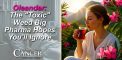 Oleander: The “Toxic” Weed Big Pharma Hopes...