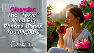 Oleander: The "Toxic" Weed Big Pharma Hopes You'll Ignore Oleander: The "Toxic" Weed Big Pharma Hopes You'll Ignore