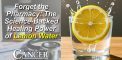 Forget the Pharmacy: The Science-Backed Healing Power...