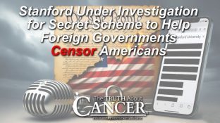 Stanford Under Investigation for Secret Scheme to Help Foreign Governments Censor Americans