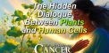 The Hidden Dialogue Between Plants and Human Cells: How...